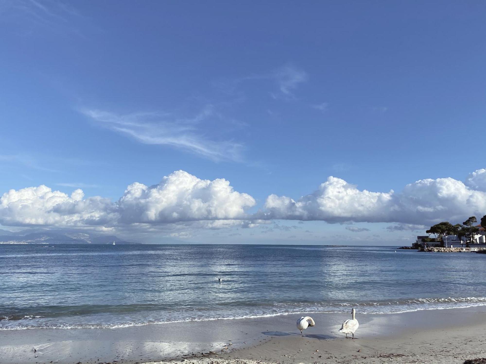 La Jabotte Hotel Antibes Buitenkant foto