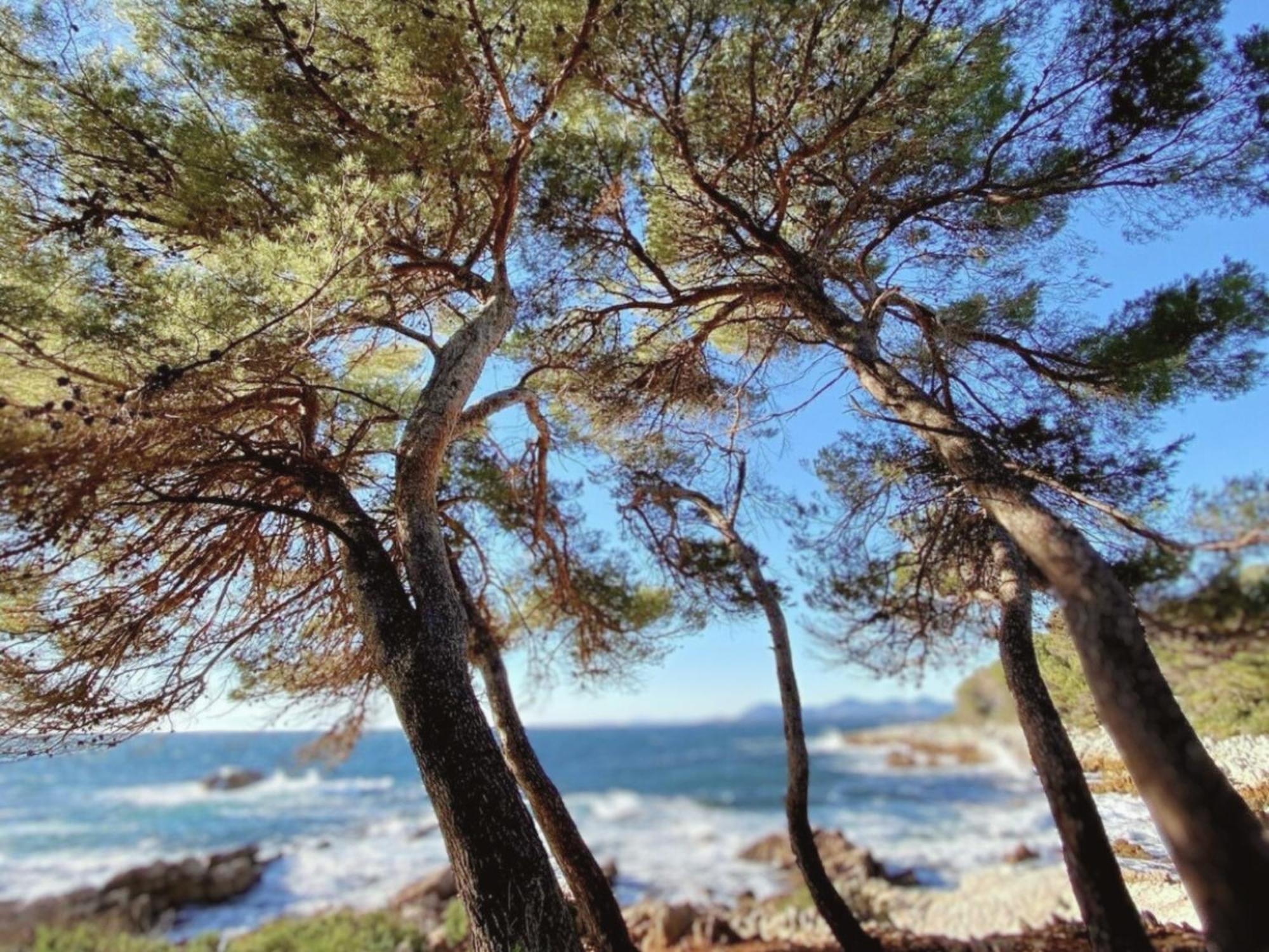 La Jabotte Hotel Antibes Buitenkant foto